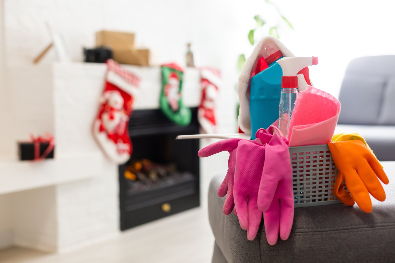 Professional Cleaning Equipment