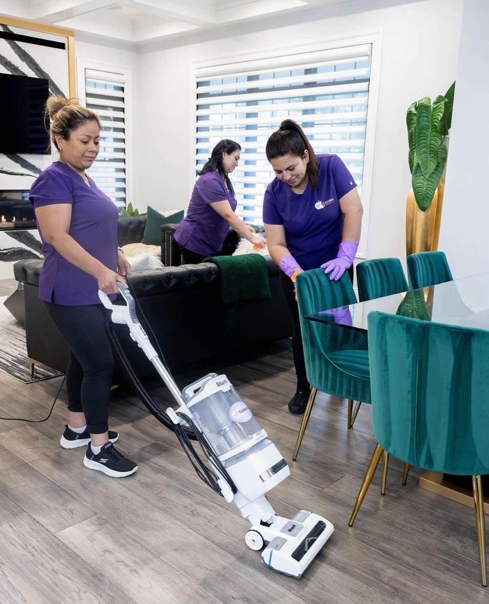 Living Room Deep Clean